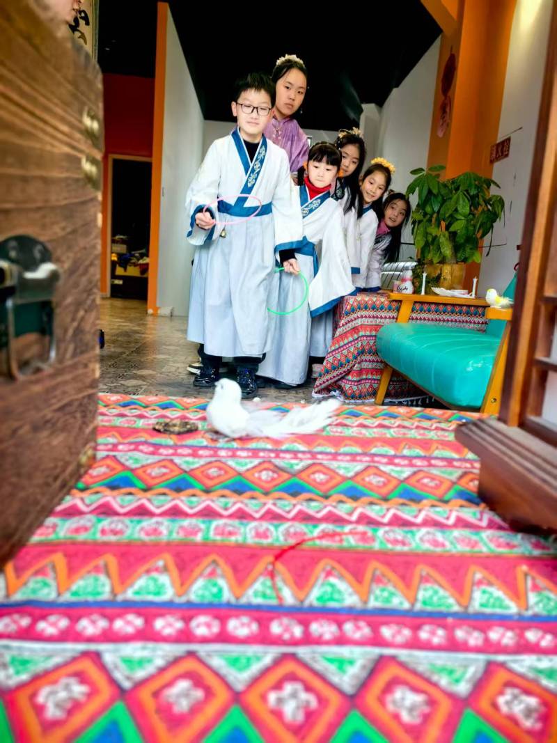 青山区品牌营销